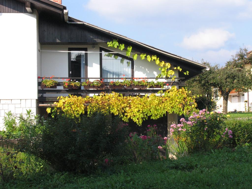 Apartment Mala Bled Rum bild