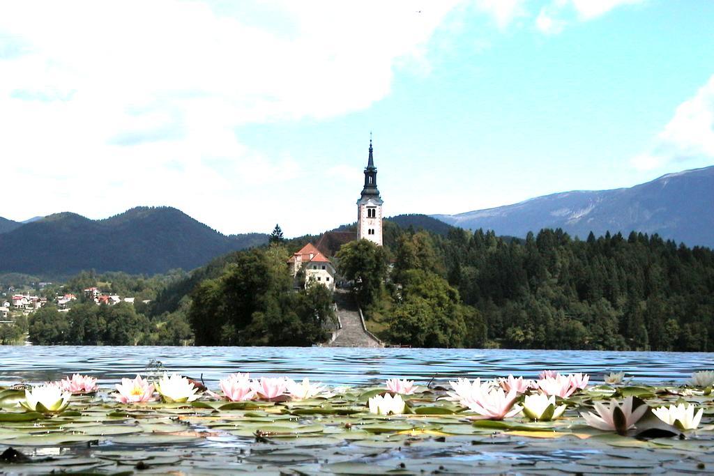 Apartment Mala Bled Rum bild