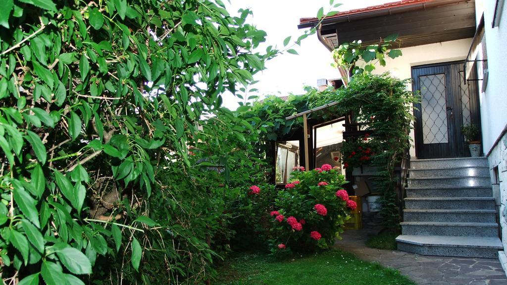 Apartment Mala Bled Rum bild