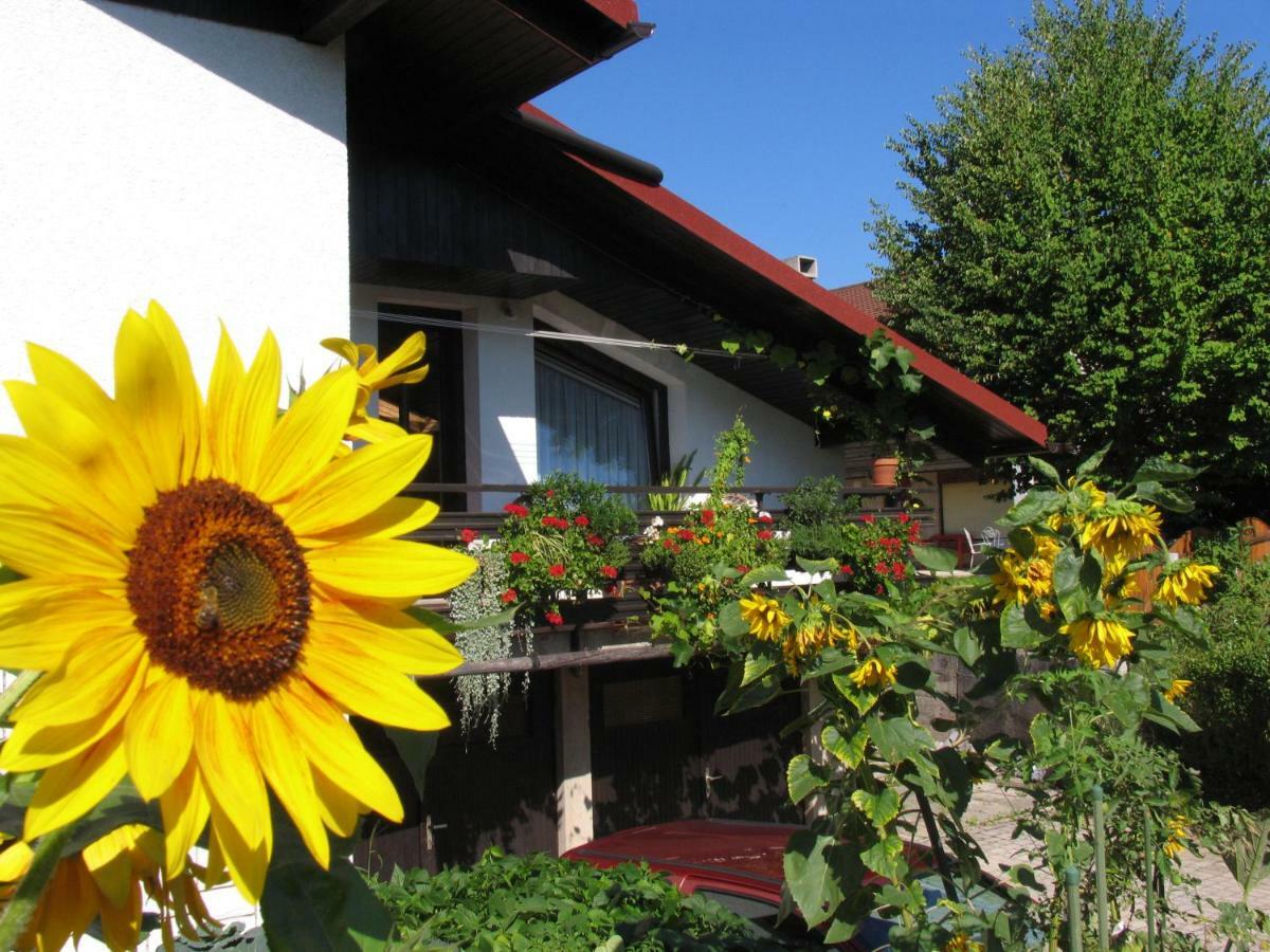Apartment Mala Bled Exteriör bild